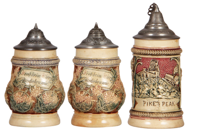 Six Diesinger steins, pottery, .25L, 880, 1805 Lewis & Clark 1905; with, .25L, relief, Mt. Clemens, Mich.; with, .25L, 771, relief; with, .25L, 2, relief, no thumblift; with, .25L, 2, relief, no thumblift; with, .25L, relief, Pikes Peak, all have pewter l - 3