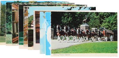 Ten Anheuser-Busch post cards, most are 3.5" x 6.0", some date from early 1900s, some date from the mid-1900s, various factory scenes, some mailed with postage, good condition.